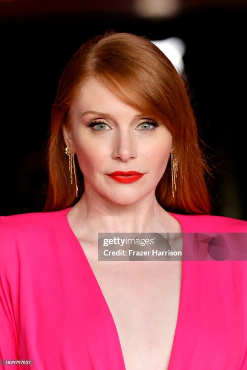 LOS ANGELES, CALIFORNIA - DECEMBER 03: Bryce Dallas Howard attends the 3rd Annual Academy Museum Gala at Academy Museum of Motion Pictures on December 03, 2023 in Los Angeles, California. (Photo by Frazer Harrison/Getty Images)