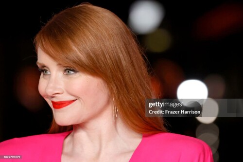 LOS ANGELES, CALIFORNIA - DECEMBER 03: Bryce Dallas Howard attends the 3rd Annual Academy Museum Gala at Academy Museum of Motion Pictures on December 03, 2023 in Los Angeles, California. (Photo by Frazer Harrison/Getty Images)