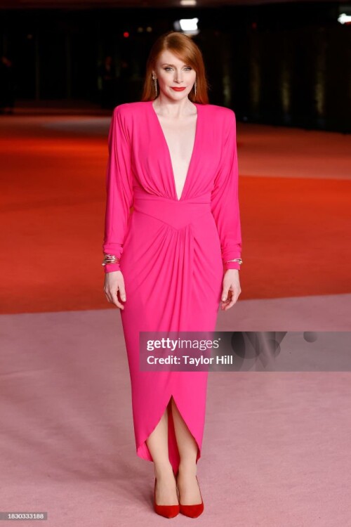 LOS ANGELES, CALIFORNIA - DECEMBER 03: Bryce Dallas Howard attends the 2023 Academy Museum Gala at Academy Museum of Motion Pictures on December 03, 2023 in Los Angeles, California. (Photo by Taylor Hill/WireImage)