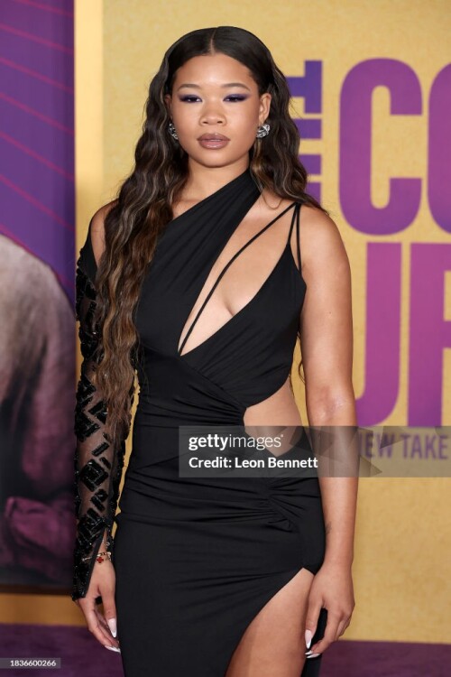 LOS ANGELES, CALIFORNIA - DECEMBER 06: Storm Reid attends the World Premiere of Warner Bros.' "The Color Purple" at Academy Museum of Motion Pictures on December 06, 2023 in Los Angeles, California. (Photo by Leon Bennett/Getty Images)