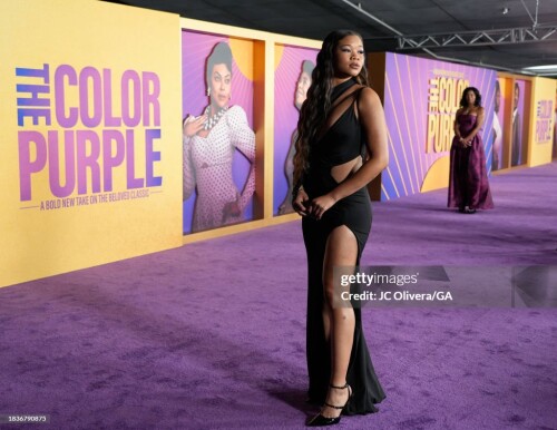 LOS ANGELES, CALIFORNIA - DECEMBER 06: Storm Reid attends the World Premiere of Warner Bros.' "The Color Purple" at Academy Museum of Motion Pictures on December 06, 2023 in Los Angeles, California. (Photo by JC Olivera/GA/The Hollywood Reporter via Getty Images)