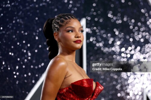 ELMONT, NEW YORK - SEPTEMBER 11: Halle Bailey attends the 2024 MTV Video Music Awards at UBS Arena on September 11, 2024 in Elmont, New York. (Photo by Mike Coppola/Getty Images for MTV)