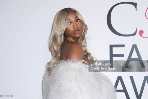 Angel Reese at the 2024 CFDA Fashion Awards held at the American Museum of Natural History on October 28, 2024 in New York, New York. (Photo by John Nacion/Variety via Getty Images)