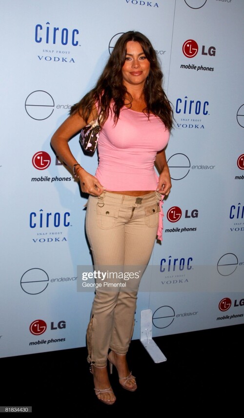 Sofia Vergara (Photo by George Pimentel/WireImage)