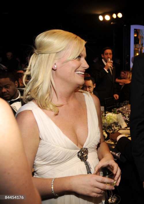 Actors Amy Poehler, Will Arnett and James Franco in the audience at the TNT/TBS broadcast of the 15th Annual Screen Actors Guild Awards at the Shrine Auditorium on January 25, 2009 in Los Angeles, California. 17499_KM_0085.JPG