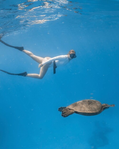 gimme some fin thank you so much angelinaunderwater charteroahuf0904034cecadb92