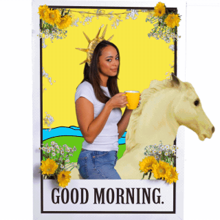 giphy_2d7d20214ff781fcc