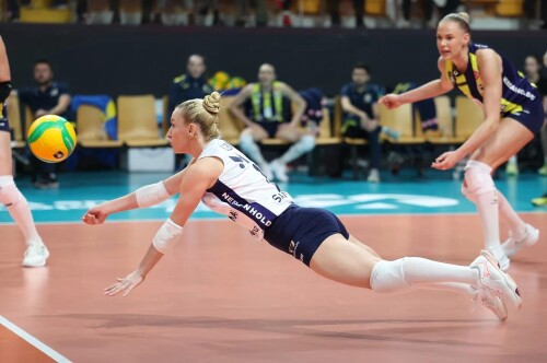 gizem orge v0 8fjutjbg74ne1e8431560138f77e3