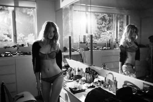 gl 4e64ea28 dc28 4428 979c 41390a7a1917e8b76c55e96d8d67