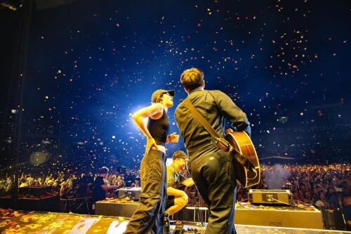 gracie1175a36faafe8ad607e