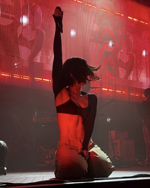 gracie15730258c77449ad8ec