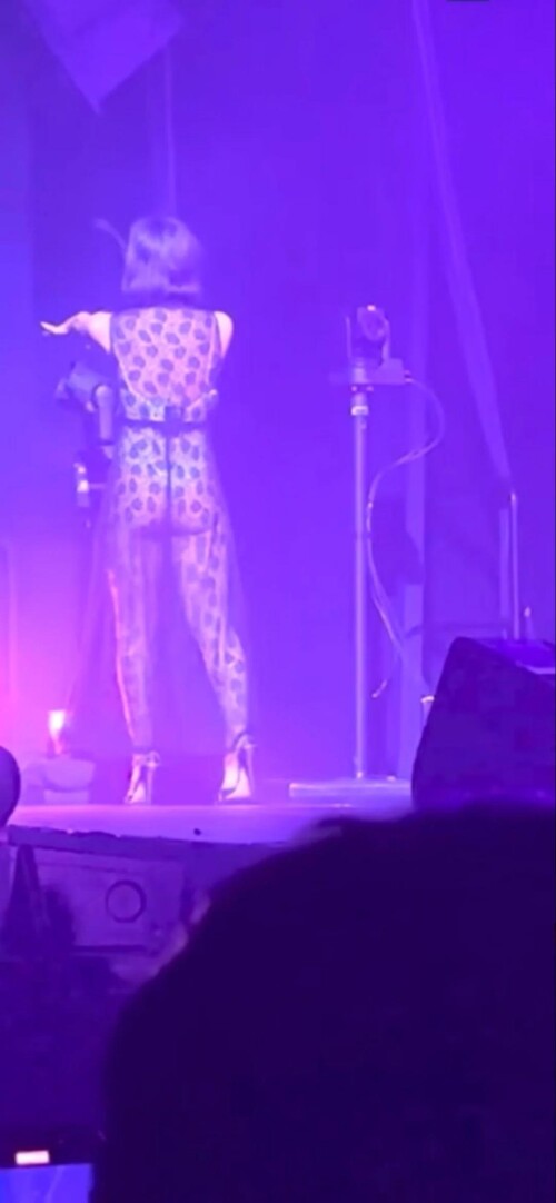 gracie172e6c5254a9784b11e