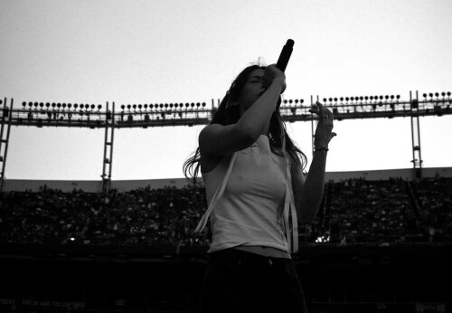 gracie53a6c0b7432dfc8e40