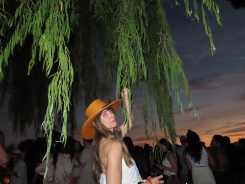 gsewr7y 6929b1baf03dcdae7