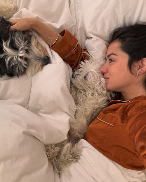 h9ijoh-1e778cf2ec399fc14