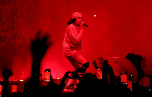 hOM06CZjtrd4881810f7ac1b0e