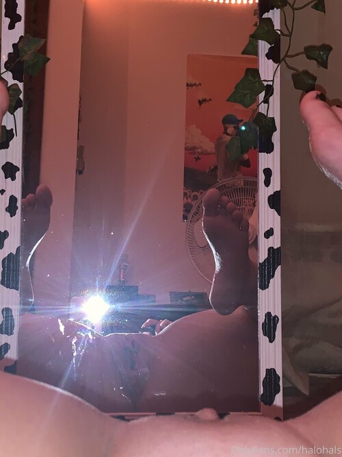 halohals 16 02 2021 2033885561