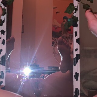 halohals-16-02-2021-2033885561