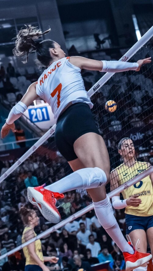 hande baladin v0 0l3xqnfar0gf1edf77319dca6a345