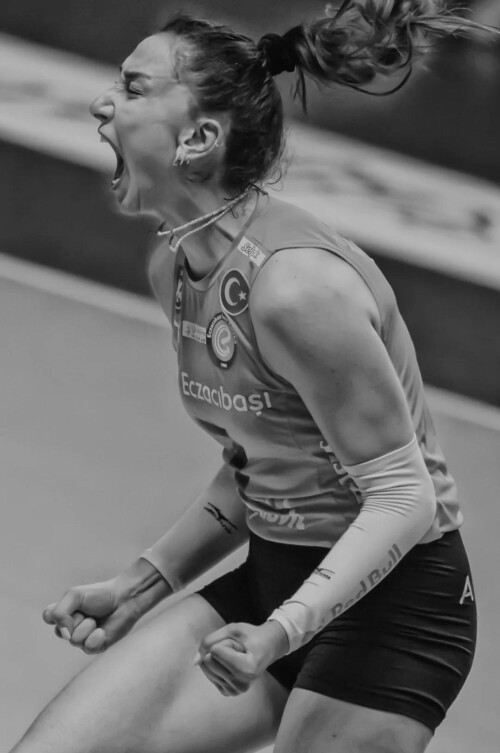 hande baladin v0 3pz2f0pbr0gf1dbacb7ed998bcffe