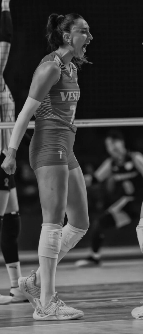 hande baladin v0 81x29kzbr0gf14a8e01b16be2f92a