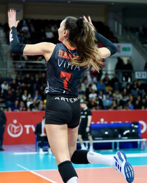 hande baladin v0 b8grbjs9r0gf1869398c1ea5fcac4