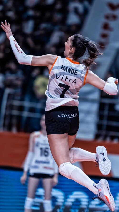 hande baladin v0 bzd7iykar0gf132c1cf489c78a6de