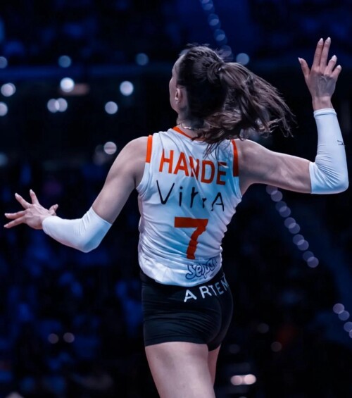 hande baladin v0 krw05r8br0gf15a59440dbb0d8013