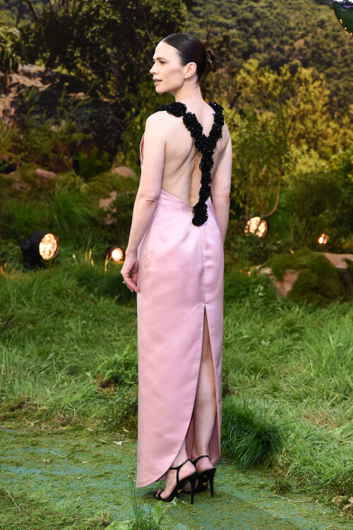 hayasiiyulondress-1429a5c9d858616a47