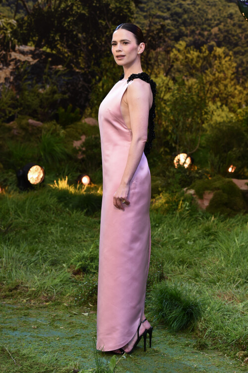 hayasiiyulondress-150aa460a83a761180