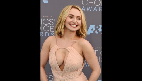 hayden panettiere866451df93bc0dd6