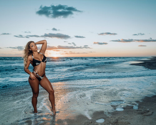 header image61ba01297bd79e8e