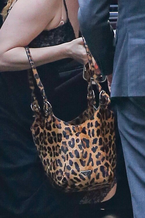 henghsfstpardas-3bb4e5b552de14305