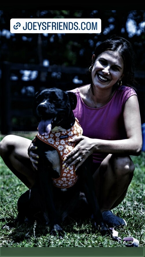 hl19fgwnmv7b12a462f2530385b84