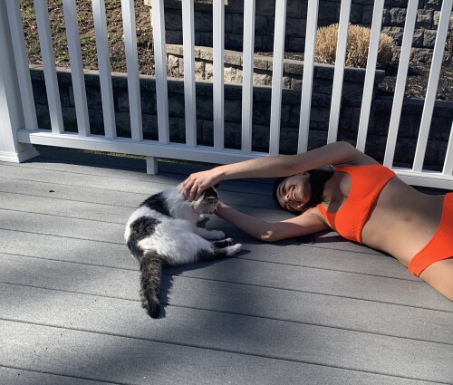 howJDli4ae89dd4be478253