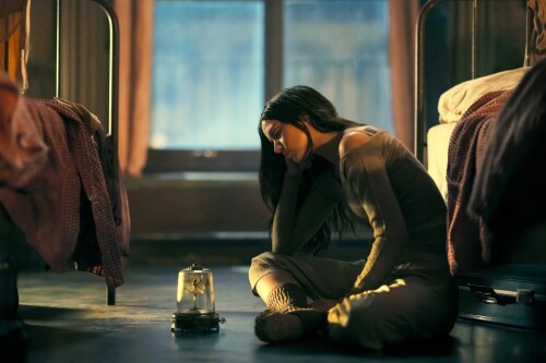 hrdy 12733607a71d43318