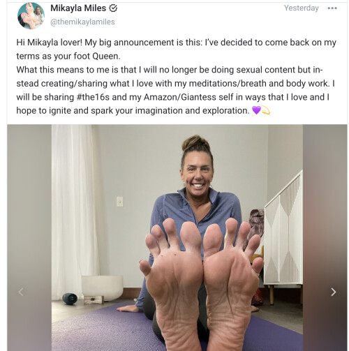 iScreen Shoter Brave Browser 2311211110467438d40b699699aa