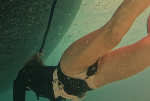 image-1dc33a686b69c80ee