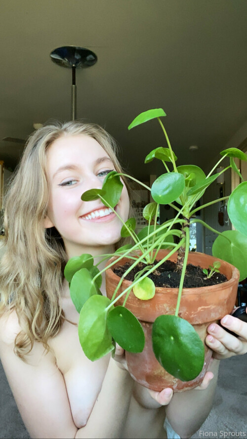 image 4008c6418cdde78723f