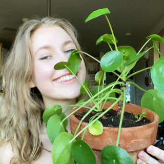 image-4008c6418cdde78723f