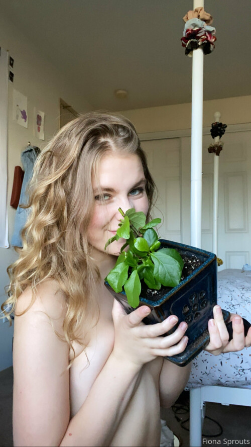 image 4085cef638bb65be0a0