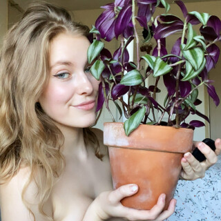 image-415b3935ae05b955c8c