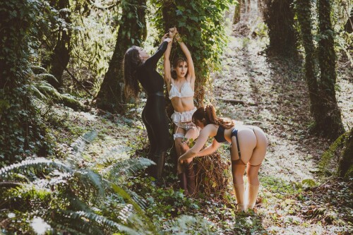 image 5679dfd65953c4f49c7