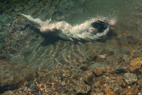 image00010e342bbab2229b9da