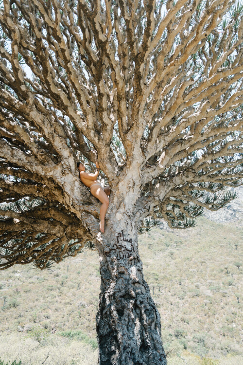 image0001302a66f4333f65587