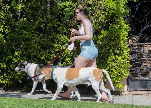 image000260ce642d779e4d6c