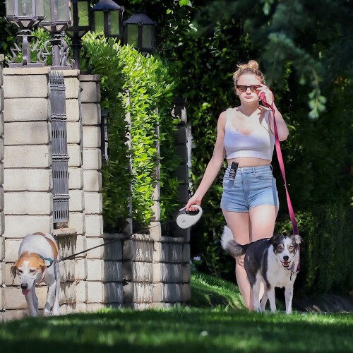 image00088e7ec4a5d8bf8245