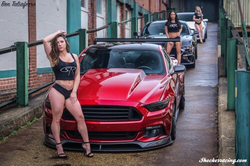 image10173875ca3e38a4ff