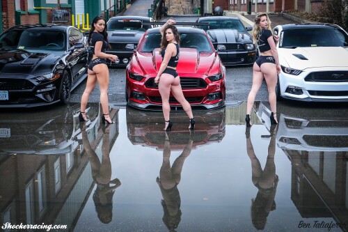 image134b6701e8fea460c1