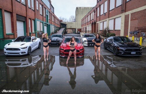 image27d6949484057cf6ca